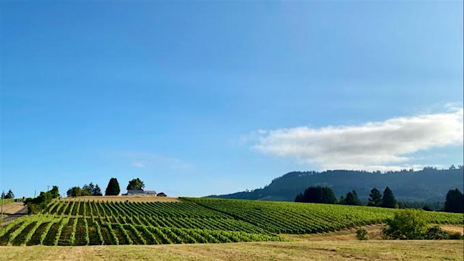 Ridgecrest Wines Vineyard