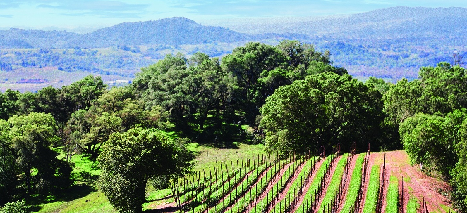 Jackson Family Wines