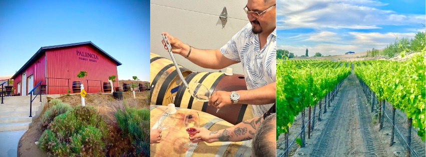 Palencia Wine Company