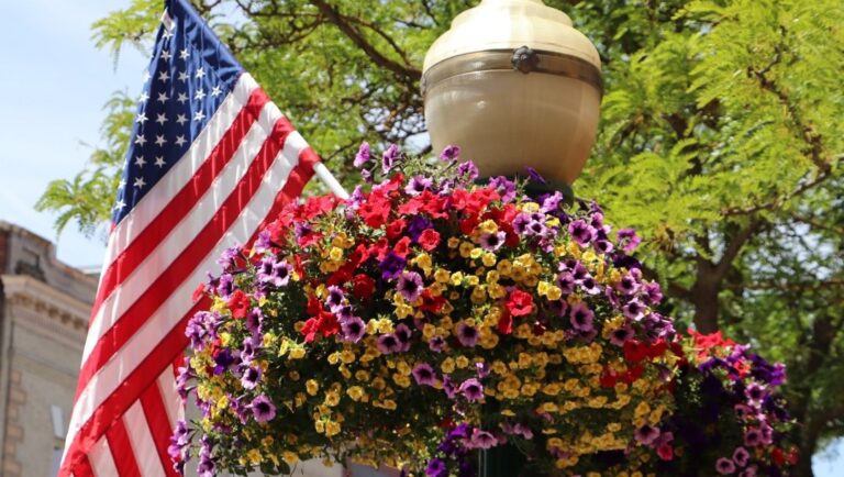 CdA Downtown Association Hanging Baskets