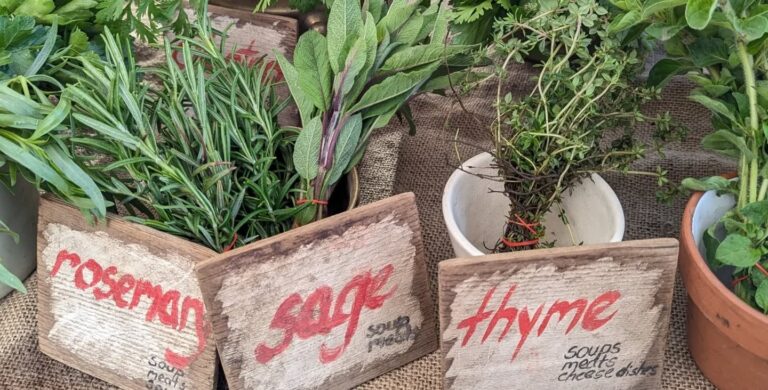 Kootenai County Farmers' Markets